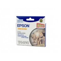 Epson T0491 Black Ink Cartridge