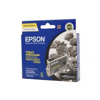 Epson T0541 Photo Black Ink Cartridge